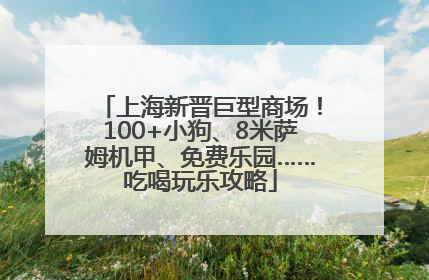 上海新晋巨型商场！100+小狗、8米萨姆机甲、免费乐园……吃喝玩乐攻略