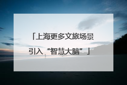 上海更多文旅场景引入“智慧大脑”