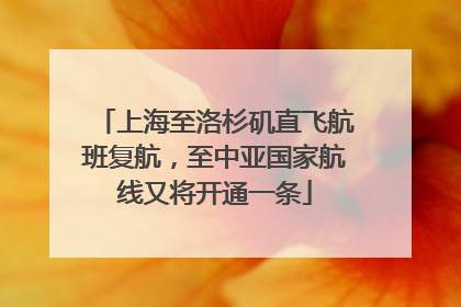上海至洛杉矶直飞航班复航，至中亚国家航线又将开通一条