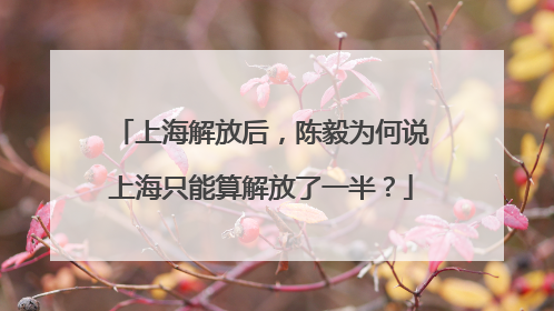 上海解放后，陈毅为何说上海只能算解放了一半？
