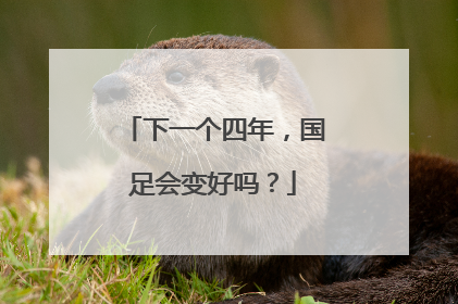 下一个四年，国足会变好吗？