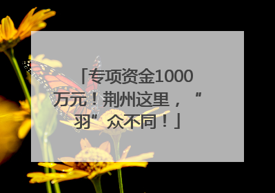 专项资金1000万元！荆州这里，“羽”众不同！
