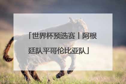 世界杯预选赛丨阿根廷队平哥伦比亚队