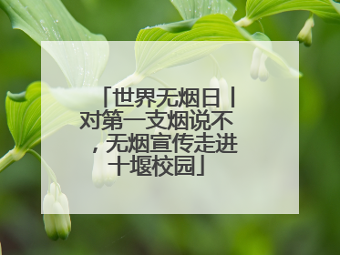 世界无烟日丨对第一支烟说不，无烟宣传走进十堰校园