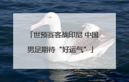世预赛客战印尼 中国男足期待“好运气”