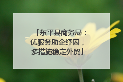 东平县商务局：优服务助企纾困，多措施稳定外贸