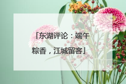 东湖评论：端午粽香，江城留客