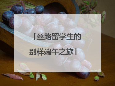 丝路留学生的别样端午之旅