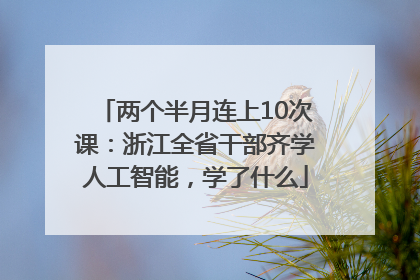 两个半月连上10次课：浙江全省干部齐学人工智能，学了什么