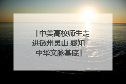 中美高校师生走进徽州灵山 感知中华文脉基底