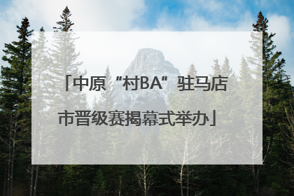 中原“村BA”驻马店市晋级赛揭幕式举办