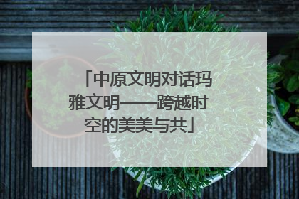 中原文明对话玛雅文明——跨越时空的美美与共