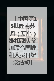 中国第15批赴南苏丹（瓦乌）维和部队参加联合国维和人员日纪念活动