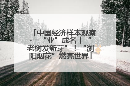 中国经济样本观察·一“业”成名丨“老树发新芽”！“浏阳烟花”燃亮世界