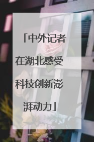 中外记者在湖北感受科技创新澎湃动力