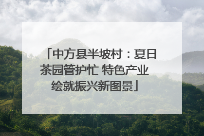 中方县半坡村：夏日茶园管护忙 特色产业绘就振兴新图景