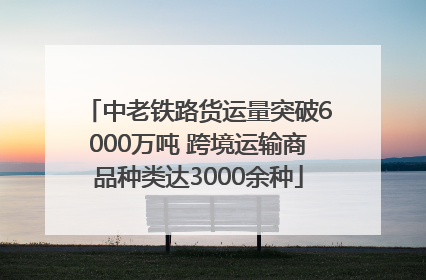 中老铁路货运量突破6000万吨 跨境运输商品种类达3000余种