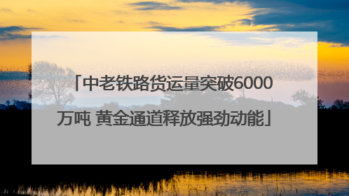 中老铁路货运量突破6000万吨 黄金通道释放强劲动能