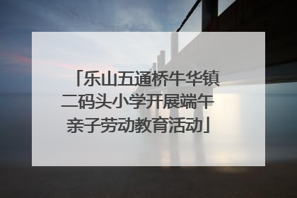 乐山五通桥牛华镇二码头小学开展端午亲子劳动教育活动