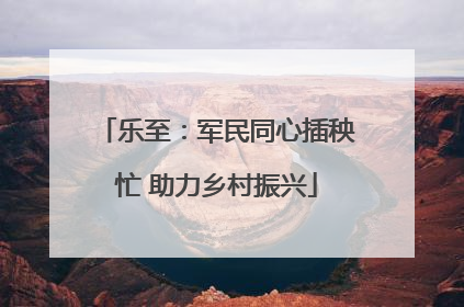 乐至：军民同心插秧忙 助力乡村振兴