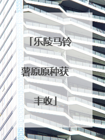 乐陵马铃薯原原种获丰收