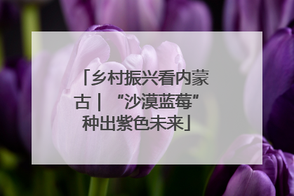 乡村振兴看内蒙古｜“沙漠蓝莓”种出紫色未来