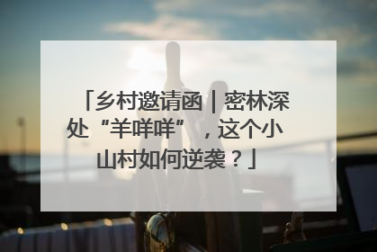 乡村邀请函｜密林深处“羊咩咩”，这个小山村如何逆袭？