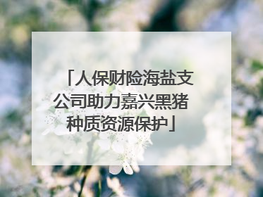 人保财险海盐支公司助力嘉兴黑猪种质资源保护