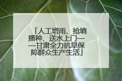 人工增雨、抢墒播种、送水上门——甘肃全力抗旱保障群众生产生活