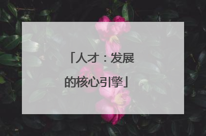 人才：发展的核心引擎