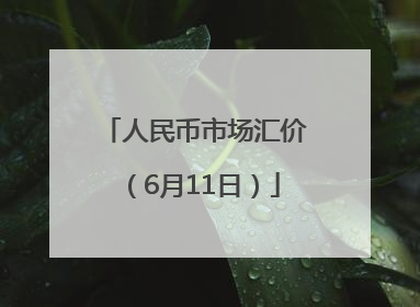 人民币市场汇价（6月11日）