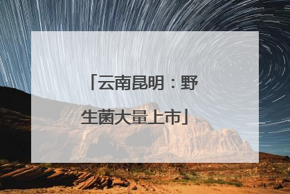 云南昆明：野生菌大量上市