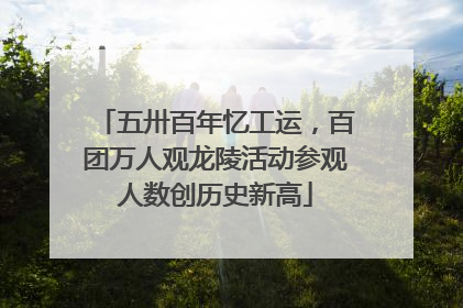 五卅百年忆工运，百团万人观龙陵活动参观人数创历史新高