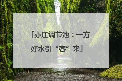 亦庄调节池：一方好水引“客”来