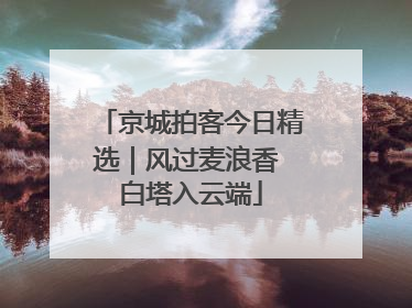 京城拍客今日精选｜风过麦浪香 白塔入云端