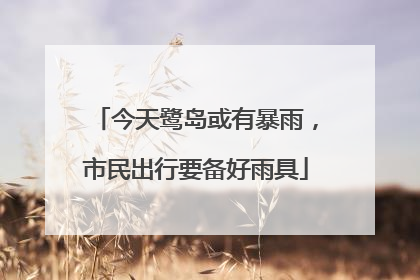 今天鹭岛或有暴雨，市民出行要备好雨具