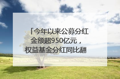 今年以来公募分红金额超950亿元，权益基金分红同比翻倍｜招财猫