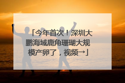 今年首次！深圳大鹏海域鹿角珊瑚大规模产卵了，视频→