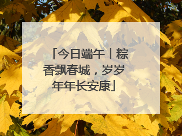 今日端午丨粽香飘春城，岁岁年年长安康