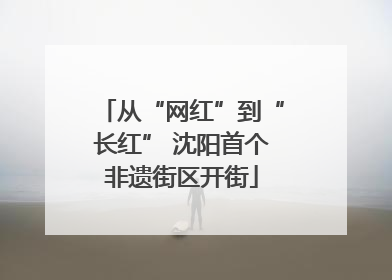 从“网红”到“长红” 沈阳首个非遗街区开街