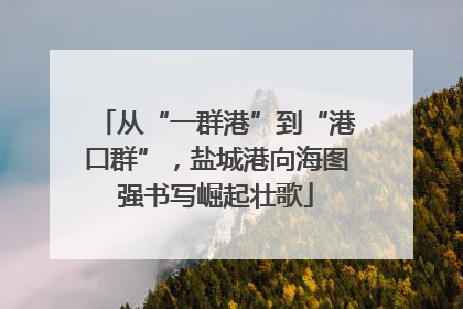 从“一群港”到“港口群”，盐城港向海图强书写崛起壮歌