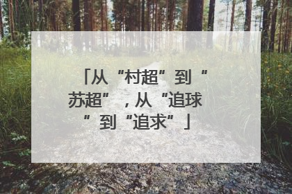 从“村超”到“苏超”，从“追球”到“追求”