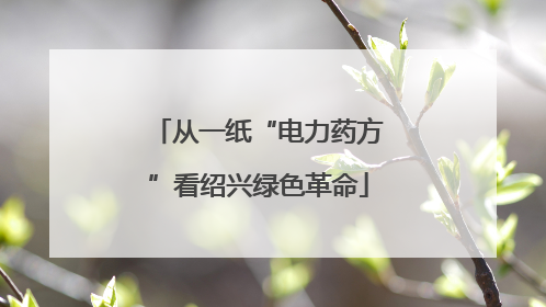 从一纸“电力药方”看绍兴绿色革命