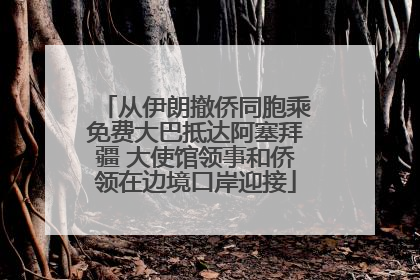 从伊朗撤侨同胞乘免费大巴抵达阿塞拜疆 大使馆领事和侨领在边境口岸迎接