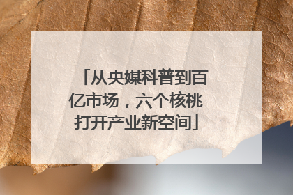 从央媒科普到百亿市场，六个核桃打开产业新空间