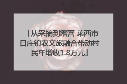 从采摘到露营 莱西市日庄镇农文旅融合带动村民年增收1.8万元