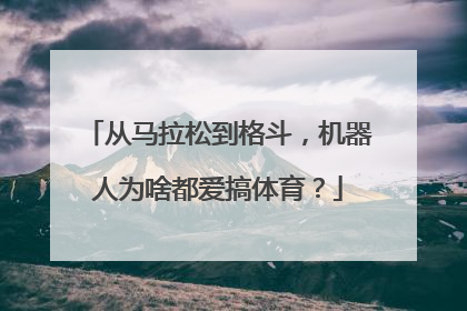 从马拉松到格斗，机器人为啥都爱搞体育？
