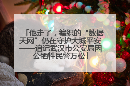 他走了，编织的“数据天网”仍在守护大城平安——追记武汉市公安局因公牺牲民警万松