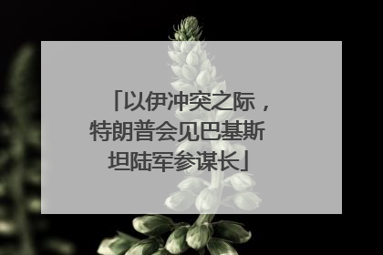 以伊冲突之际，特朗普会见巴基斯坦陆军参谋长