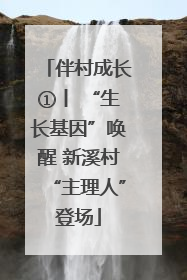 伴村成长①丨 “生长基因”唤醒 新溪村“主理人”登场